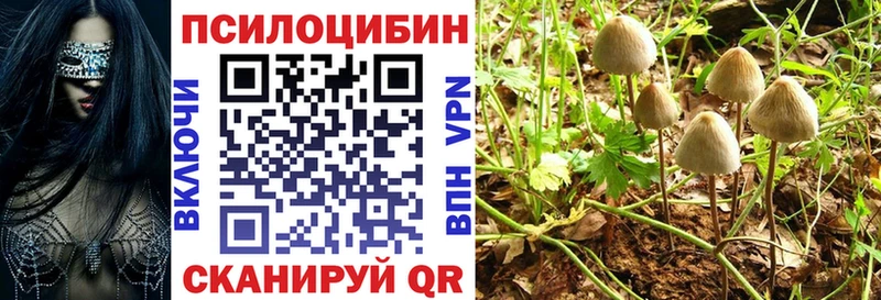 Псилоцибиновые грибы Cubensis  Алзамай 