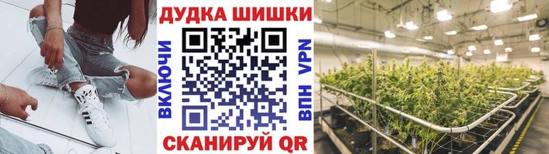 Бошки Шишки THC 21%  купить наркотик  Алзамай 